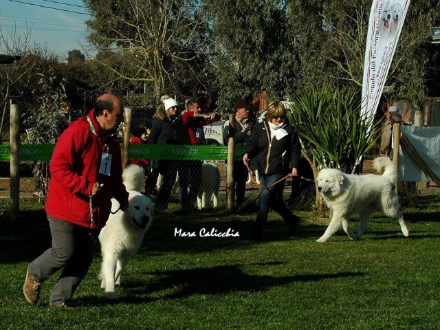 Fiero & Rubino at the Club Show